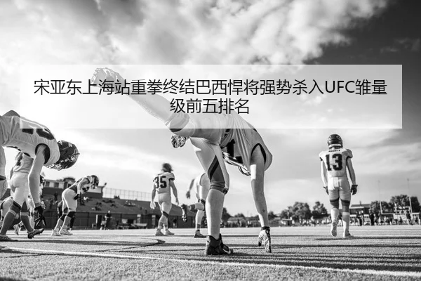 宋亚东上海站重拳终结巴西悍将强势杀入UFC雏量级前五排名